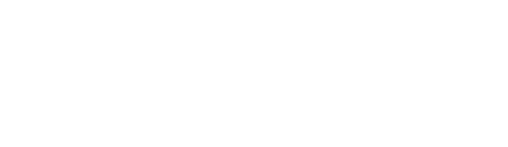 Flentas Logo White
