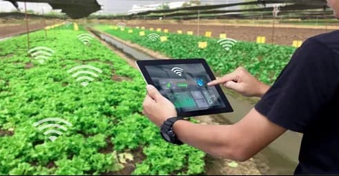 How Internet of Things is changing the future of the farm ?