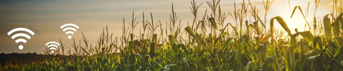 How Internet of Things is changing the future of the farm ?